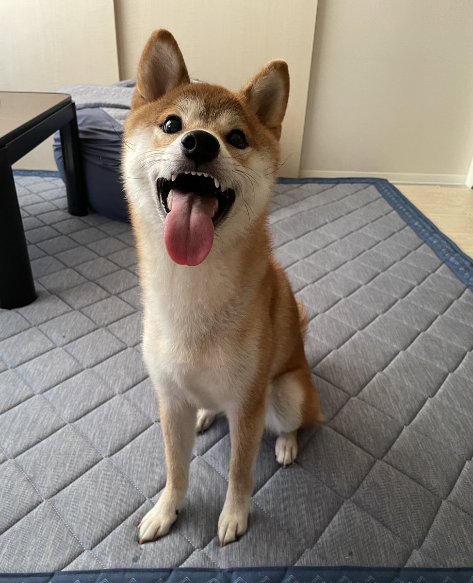 奴才：還愛面子不要承認喔～