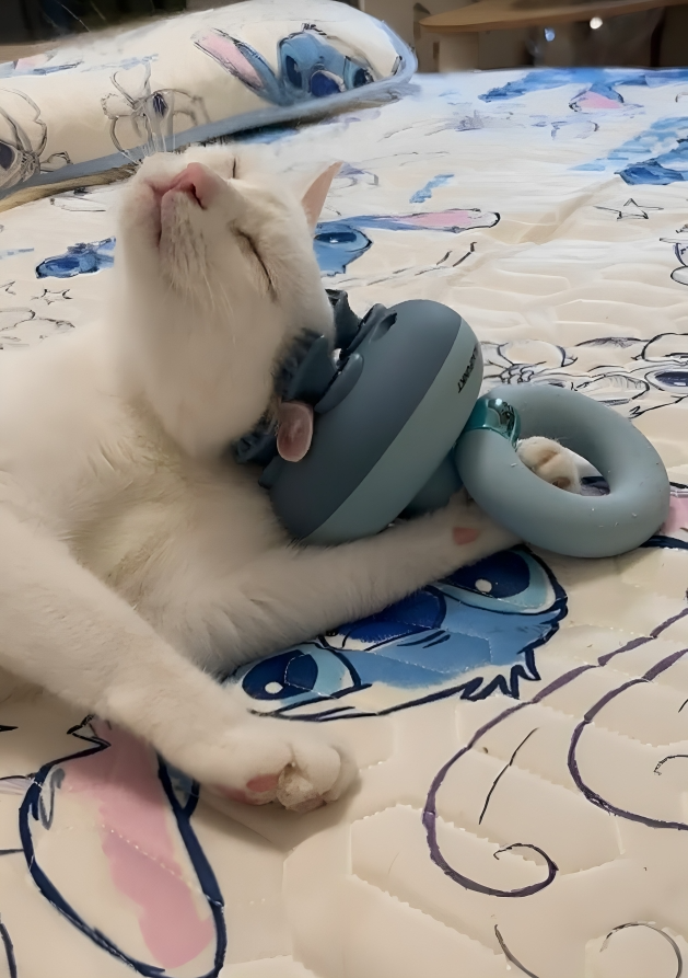 奴才：這麼簡單就可以啦