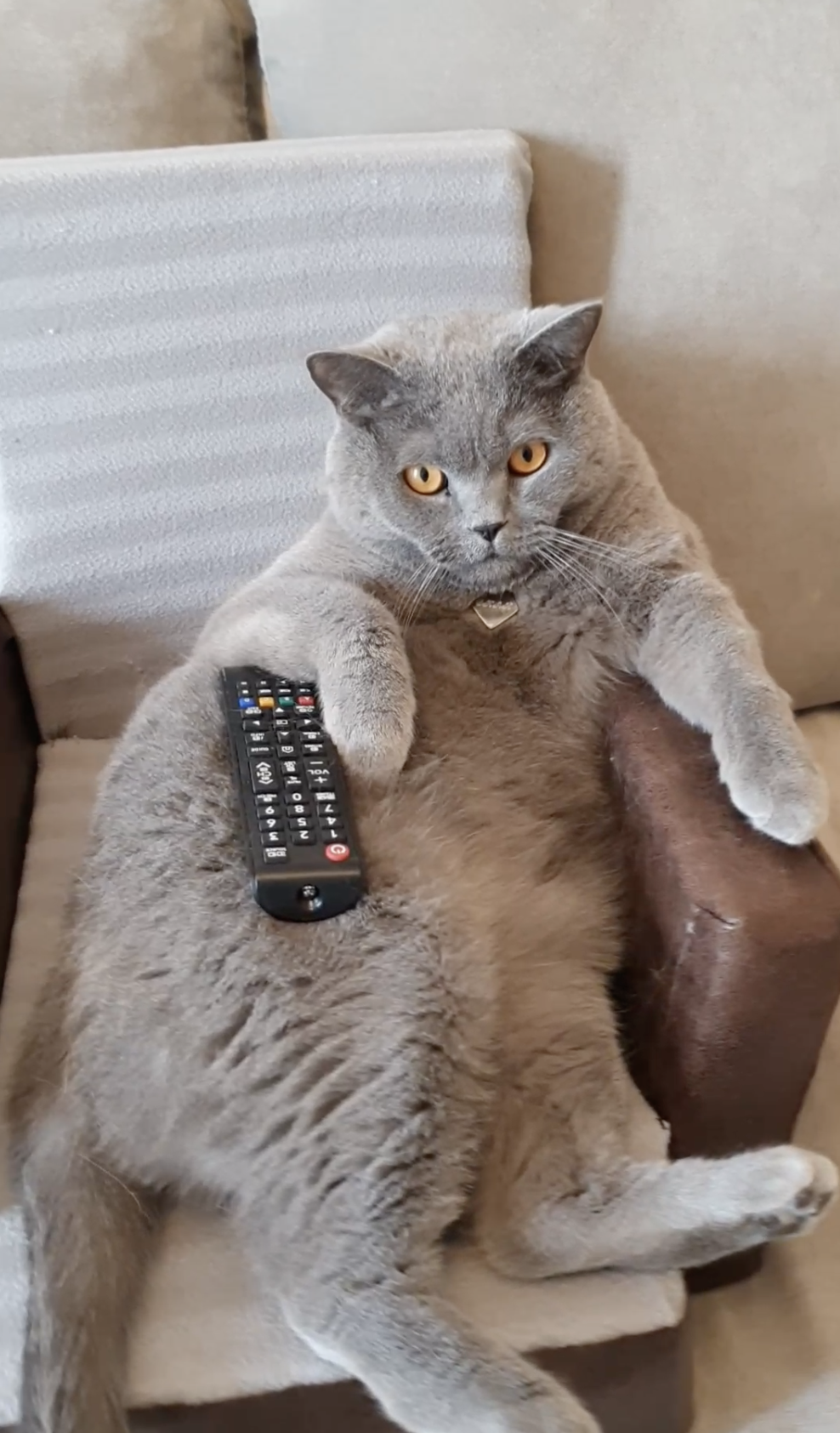 奴才：你這是高級享受啊