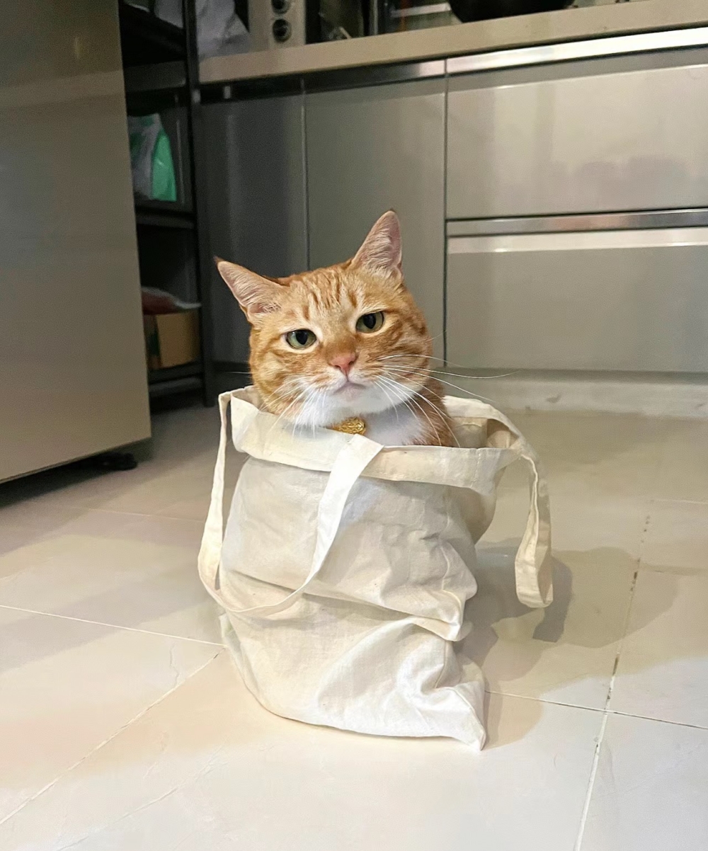 奴才：你有什麼好嫌棄的啦