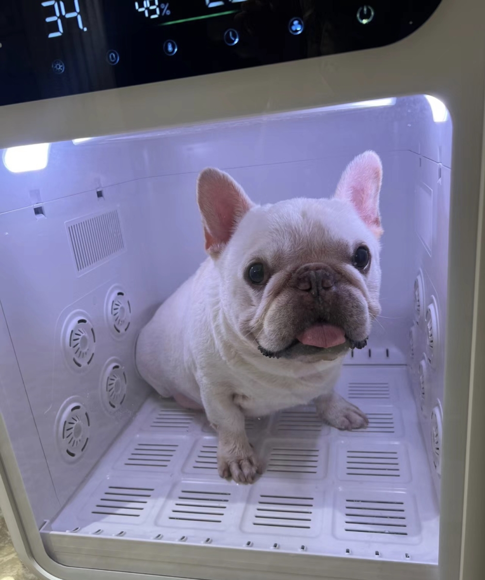 奴才：這還有催眠作用？