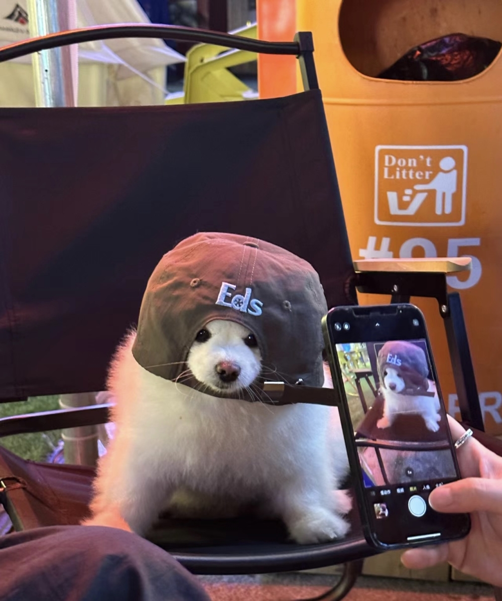 奴才：確實兩種身分都有各的特色