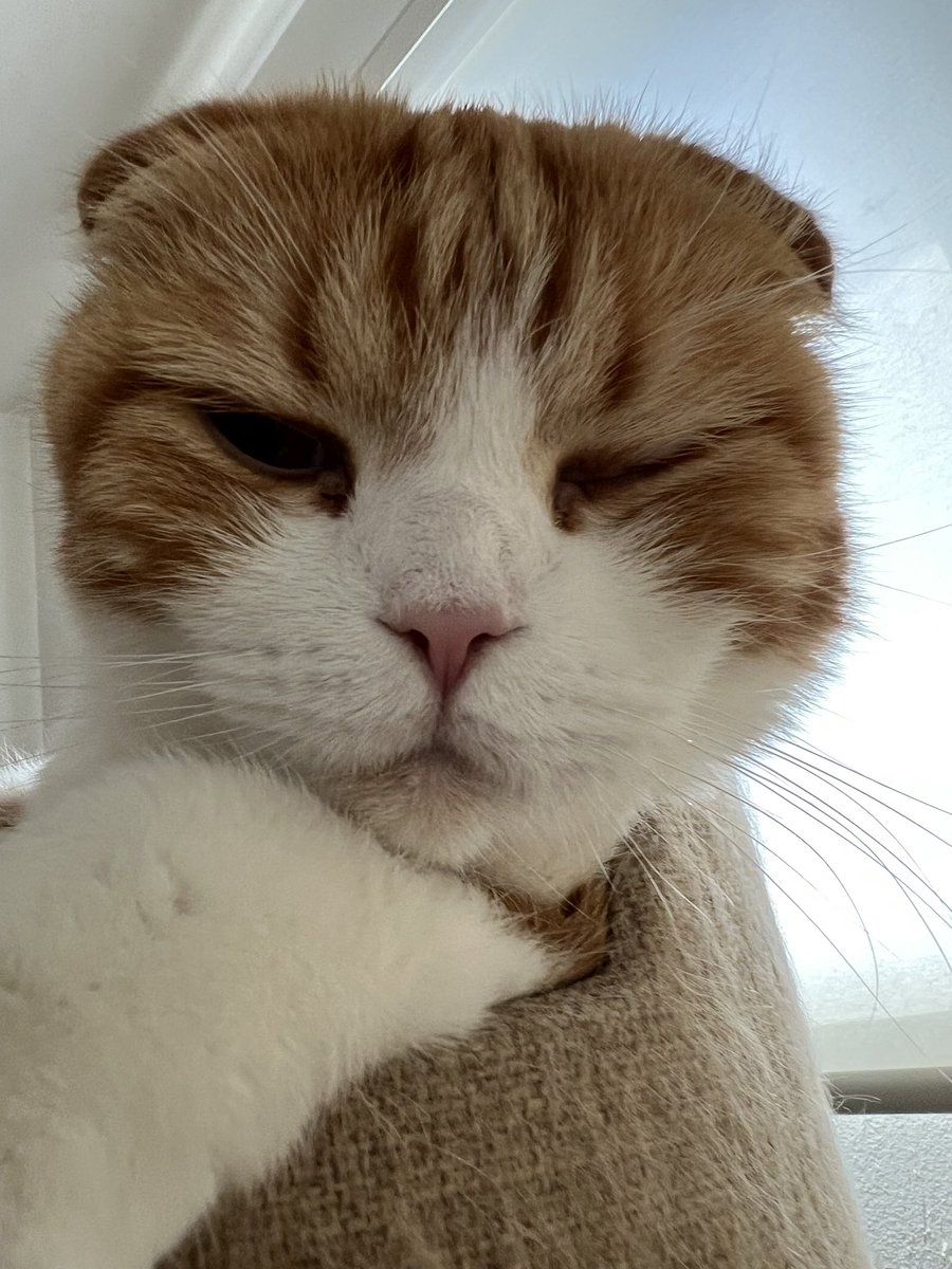 奴才：你真有自信啊