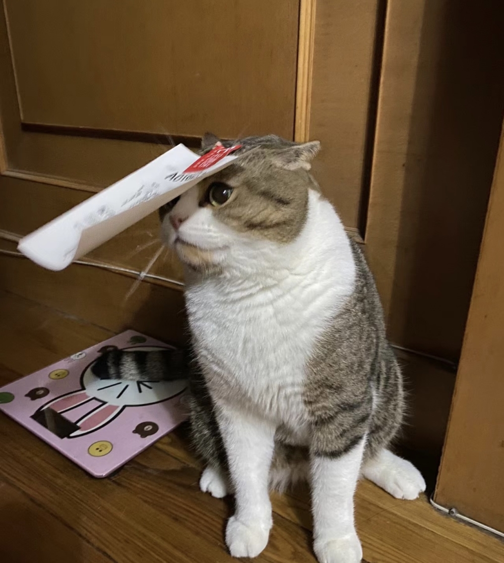 奴才：誰讓你調皮了