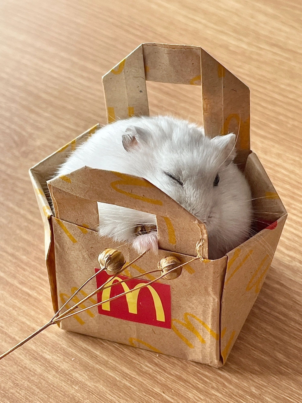 奴才：小嘴真甜啊