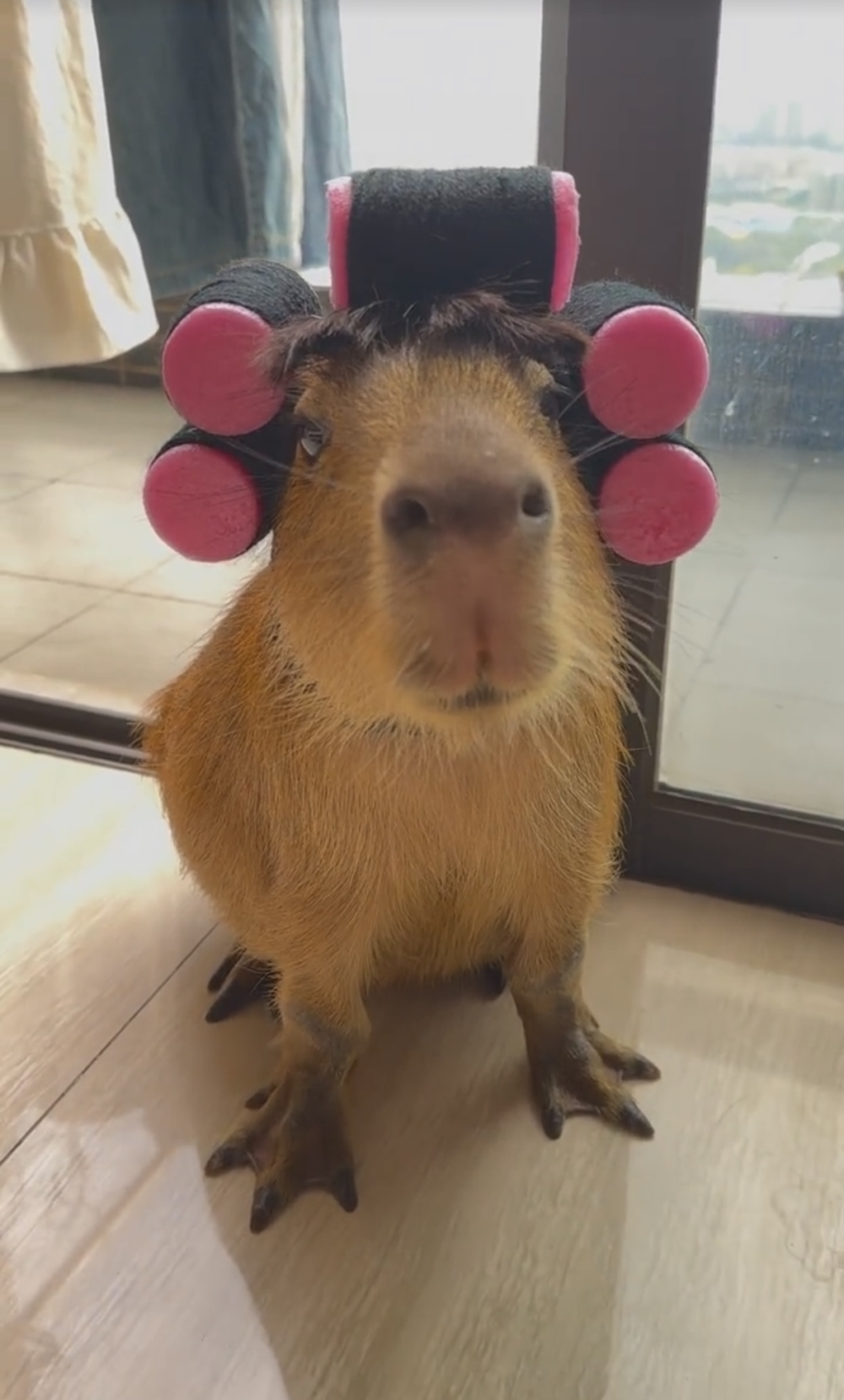 奴才：真的很有感覺啊