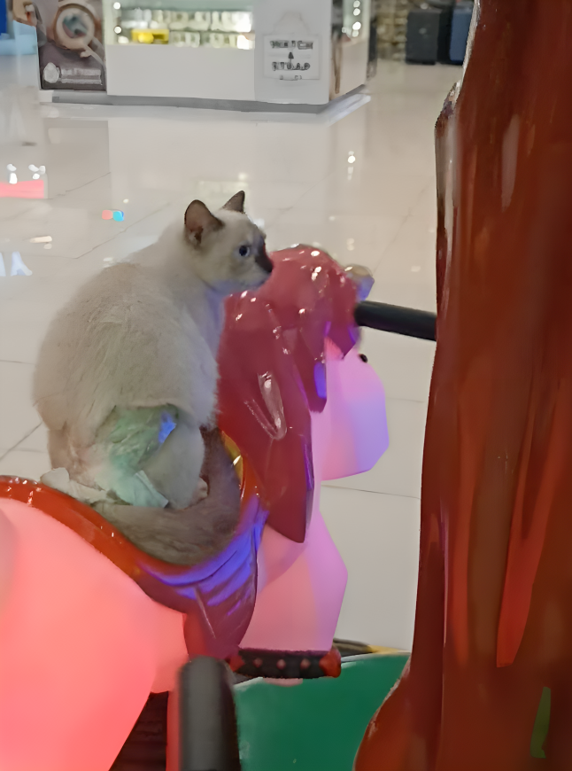 奴才：好好體驗一下吧