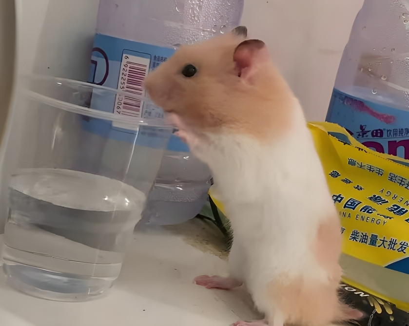 奴才：你長大了就知道啦