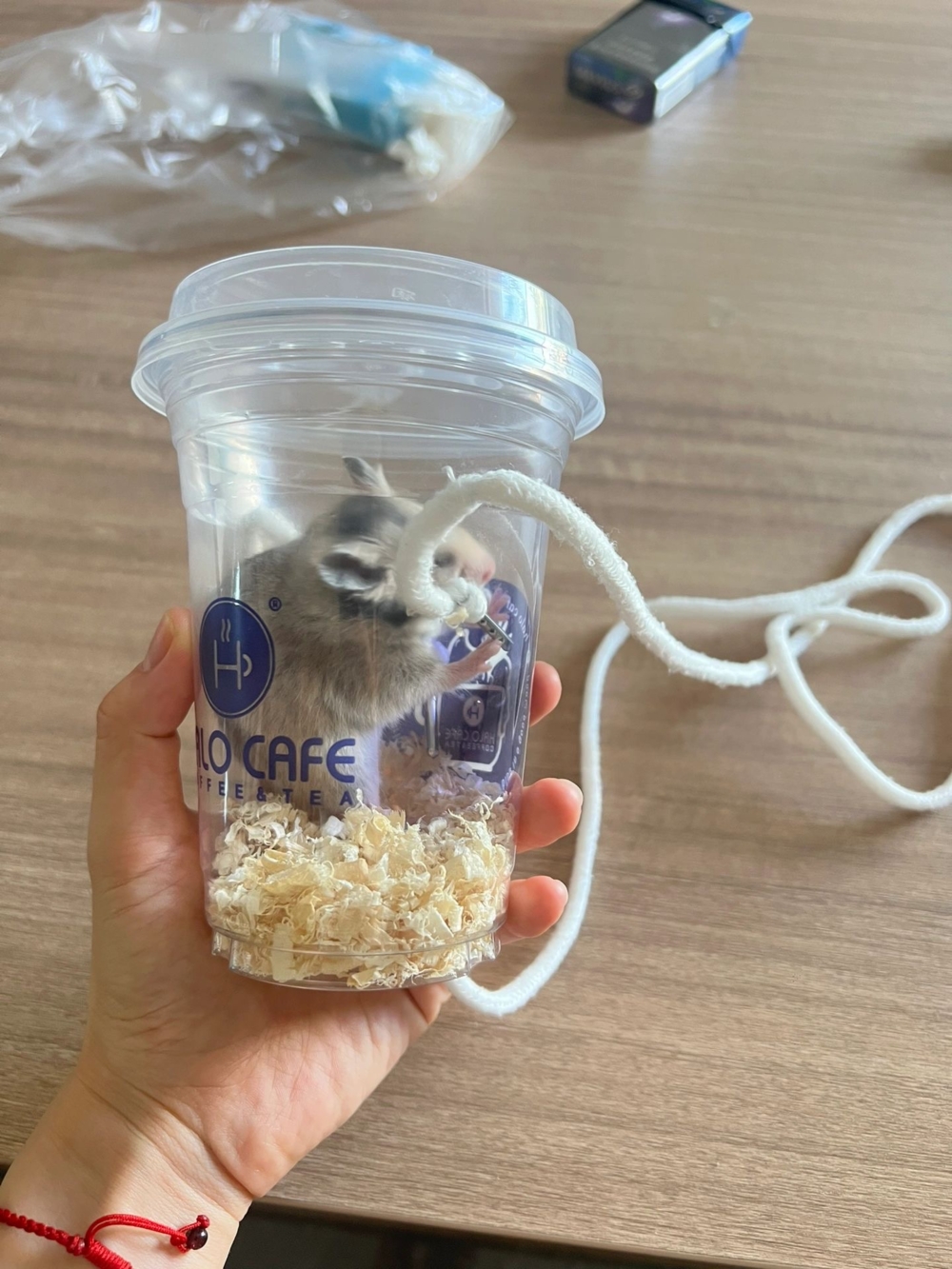 奴才：很快就要弄好了