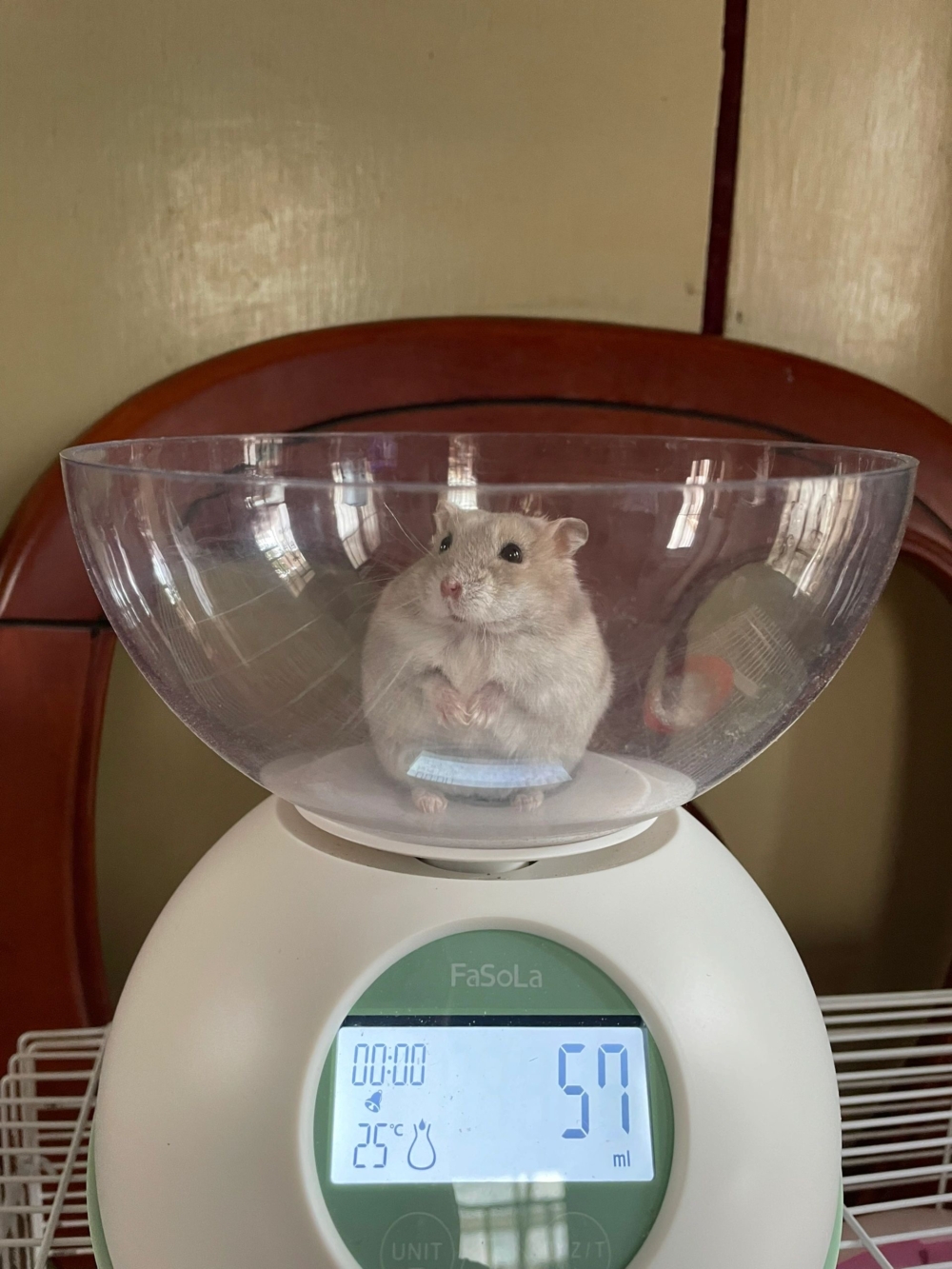 奴才：一語驚醒夢中人啊～