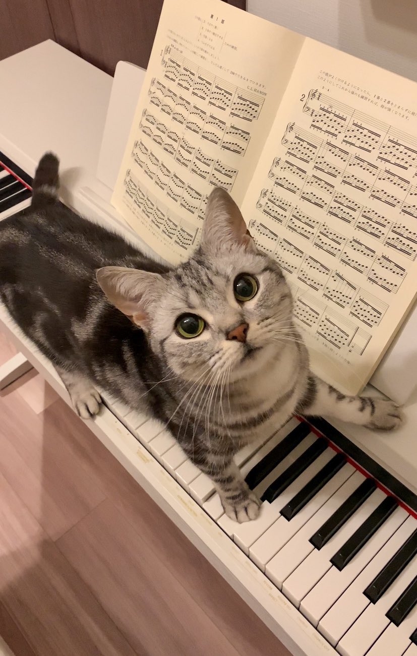 奴才：不錯，勝任得非常好