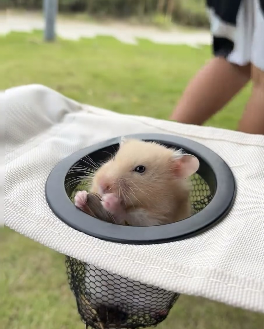 奴才：把你照顧的妥妥的當然開心囉