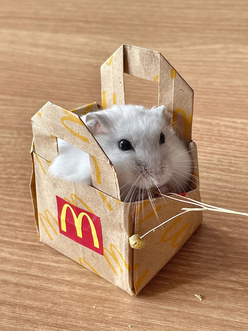 奴才：我親手為你製作的喔