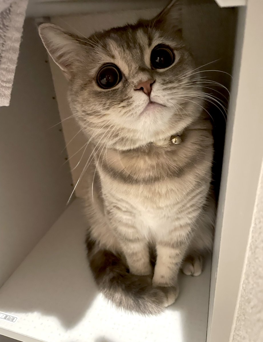 奴才：好吧！別勉強自己