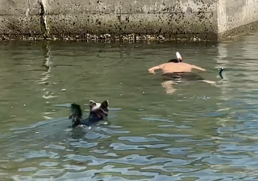 奴才：下次別再這樣囉