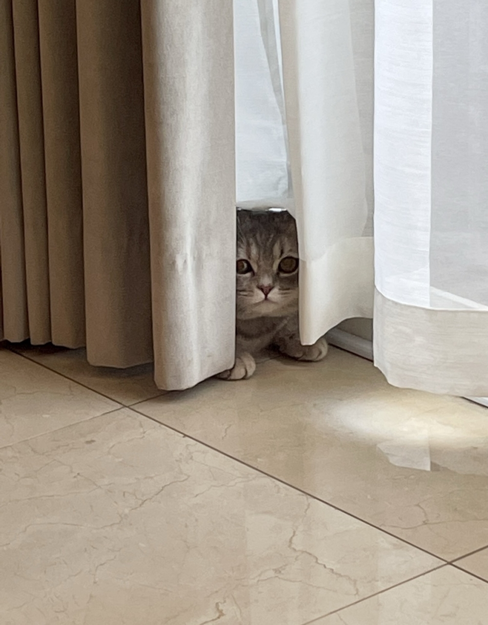 奴才：你別緊張兮兮的啦