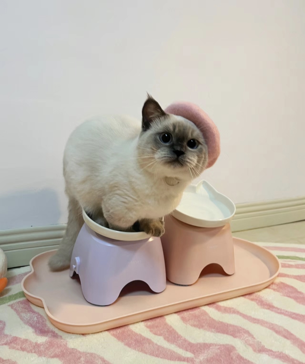 奴才：你真是乾飯最積極了