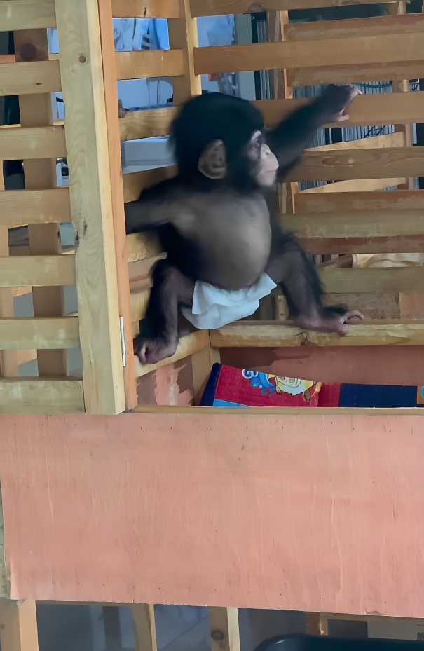 遊客：別怕，我們都不是壞人