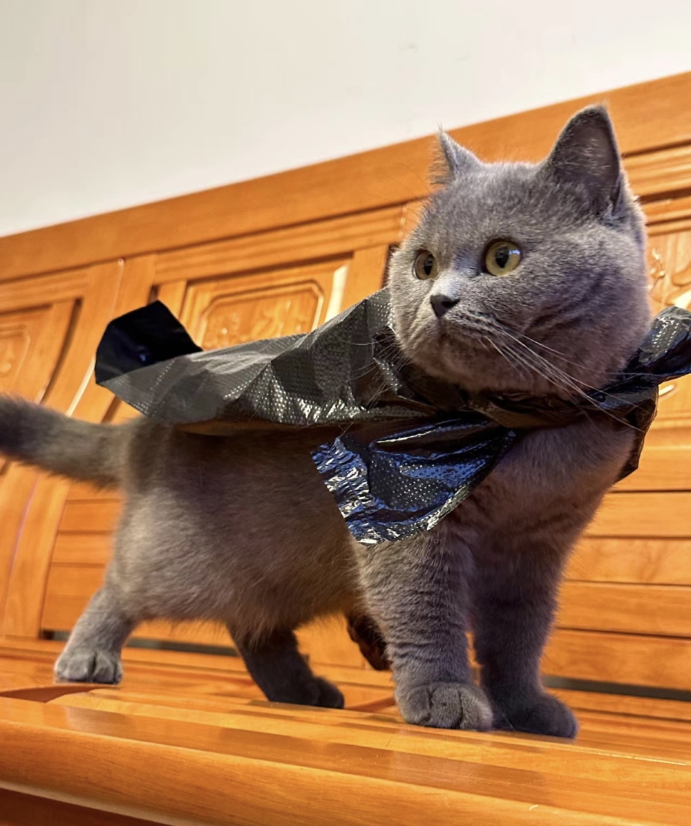 奴才：你身體那麼小一個