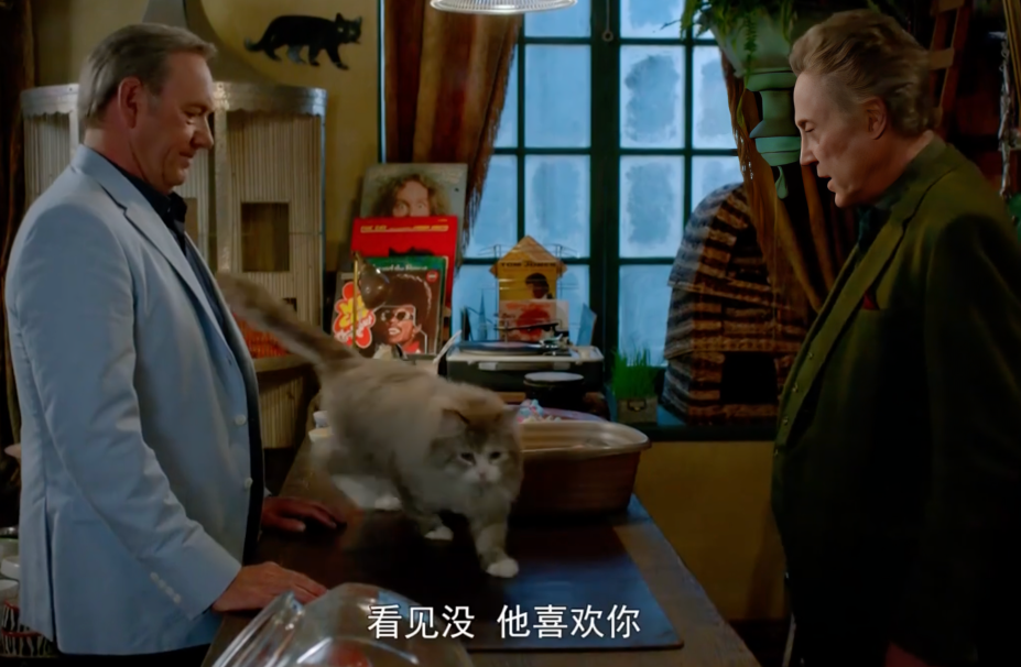 湯姆到菲利斯的寵物店選購貓咪