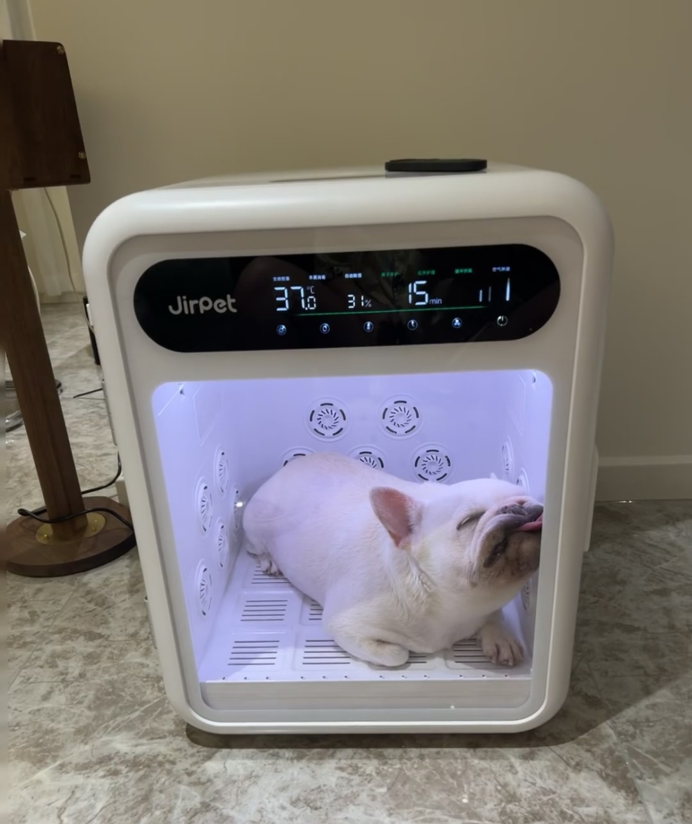 奴才：你簡直是睡神啊