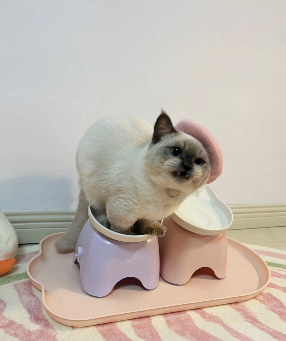 奴才：馬上來，別急