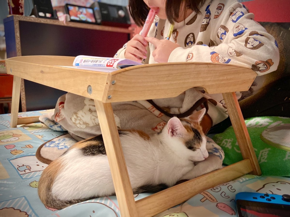 奴才：當然不是啊