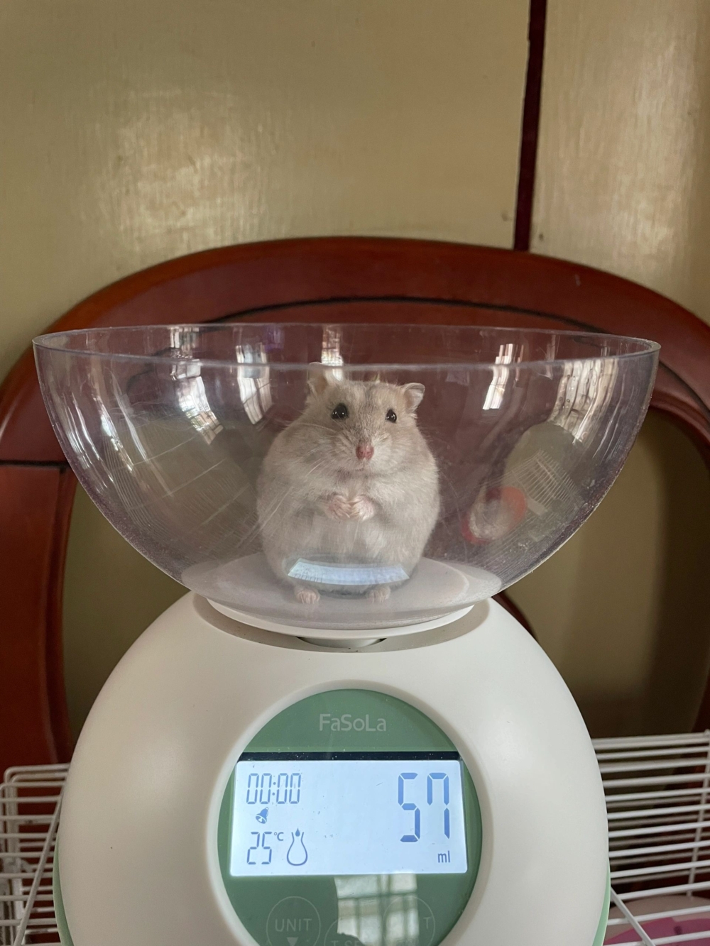 奴才：我...無話可說