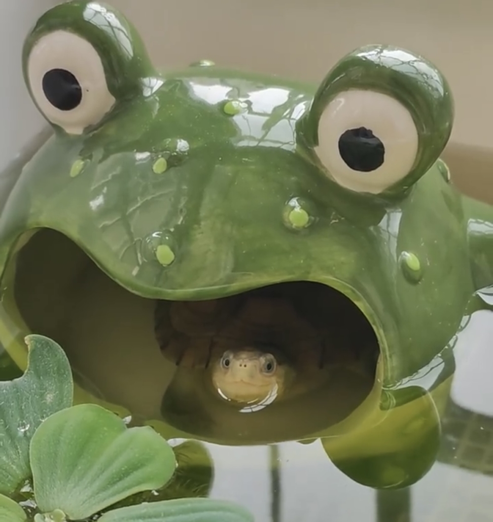 奴才:不會啦!很可愛啊