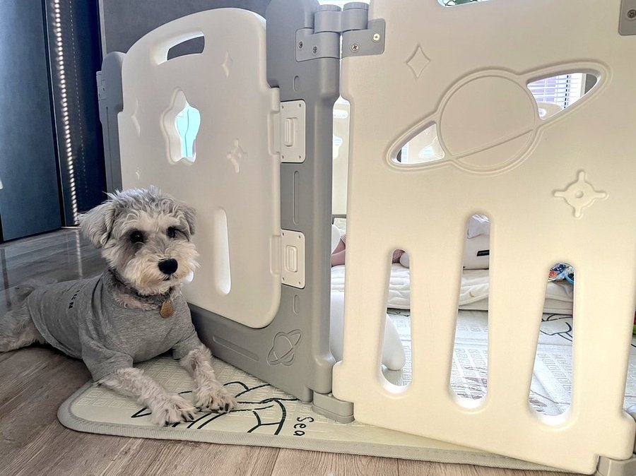 奴才：你那麼厲害喔