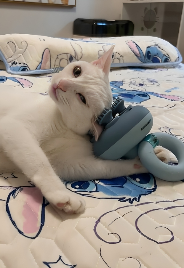 奴才：你想得美啊