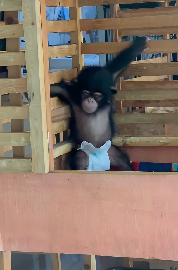 遊客：放輕鬆，別緊張喔