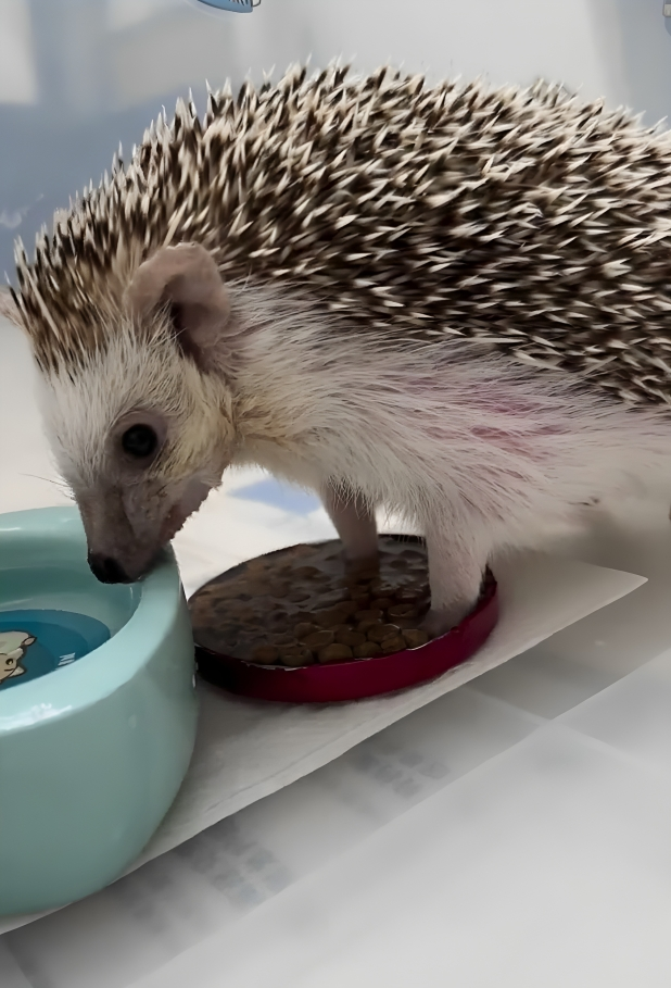 奴才：我也不是很想懂欸～