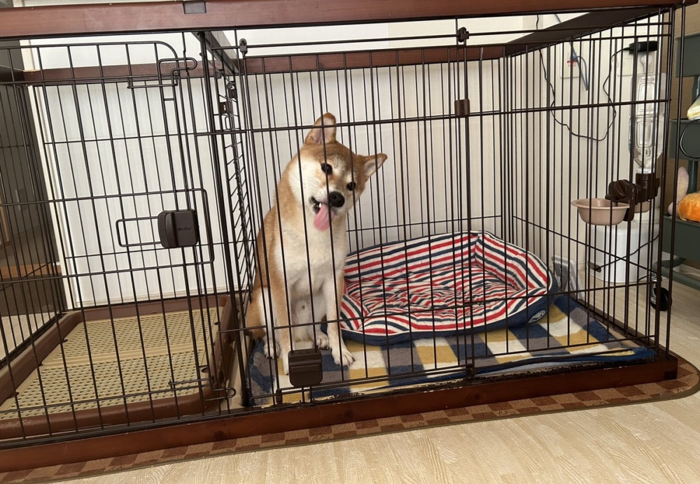 奴才：那你怎麼說話都結巴了