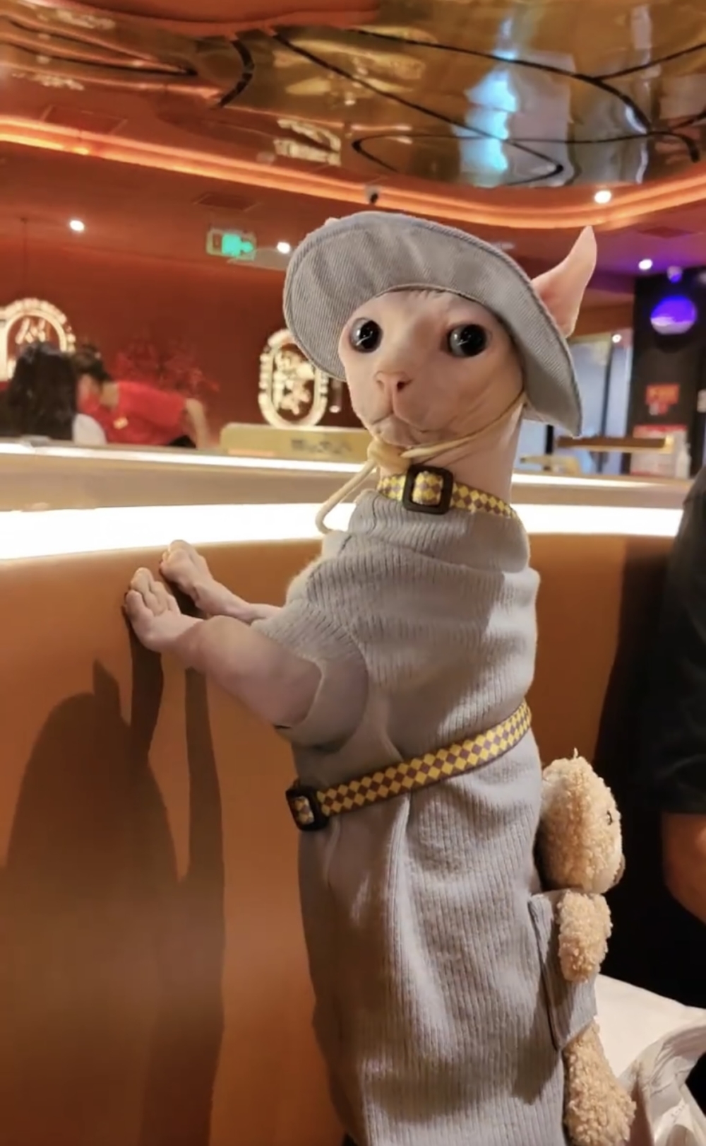 奴才：還不是便宜你了