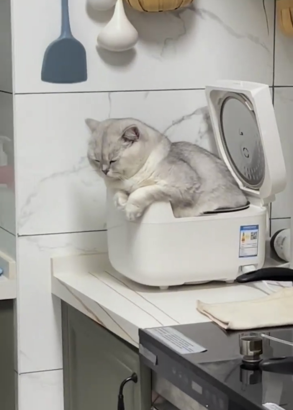 奴才：你怎麼跑到裡面去啦