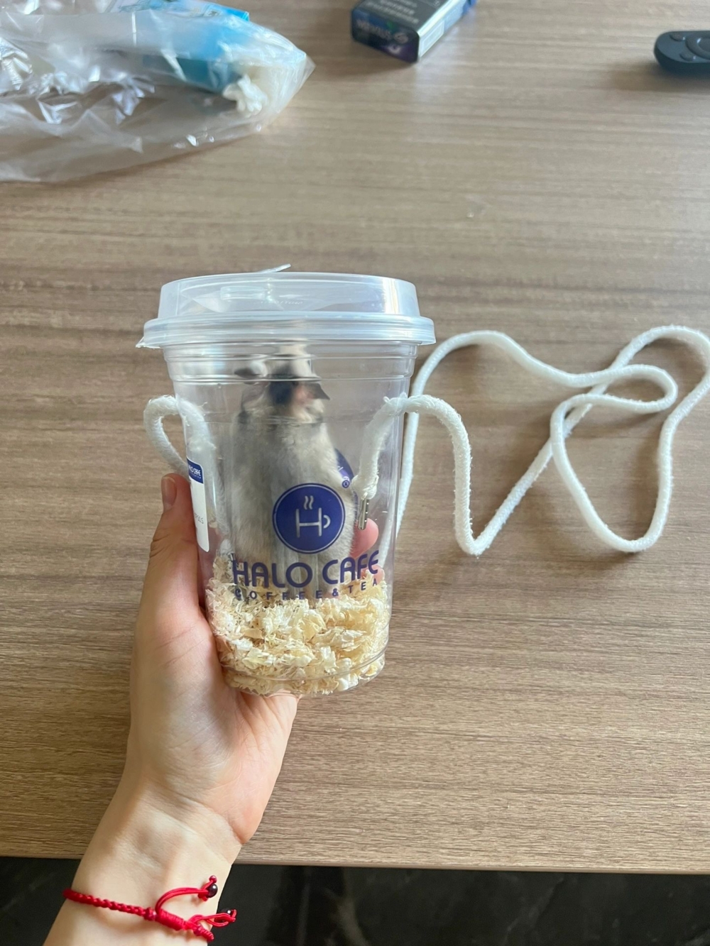 奴才：有沒有很高興呀