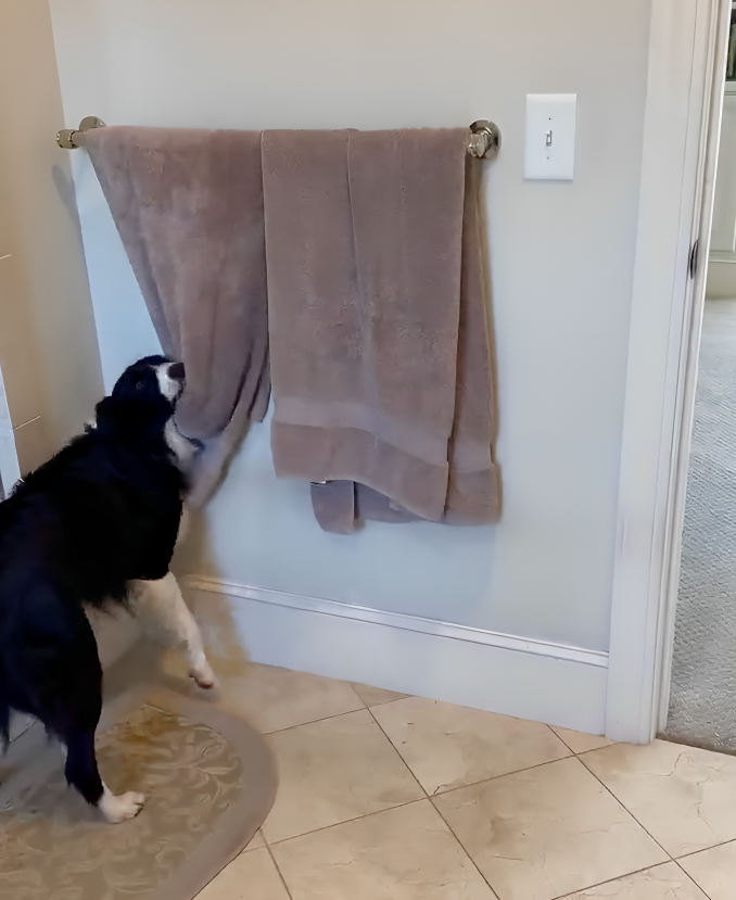 奴才：服了你啦