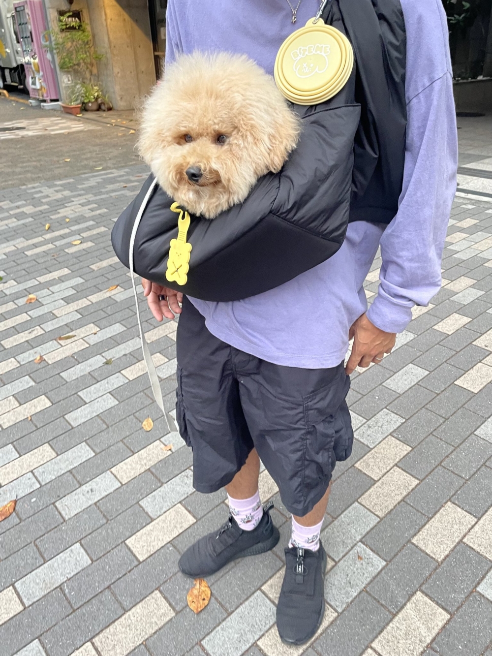 奴才:還好你只是蓬鬆不是胖