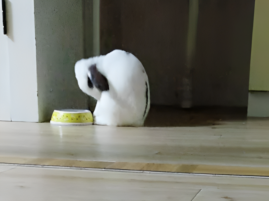 奴才：既然醒了就給你加點水囉！