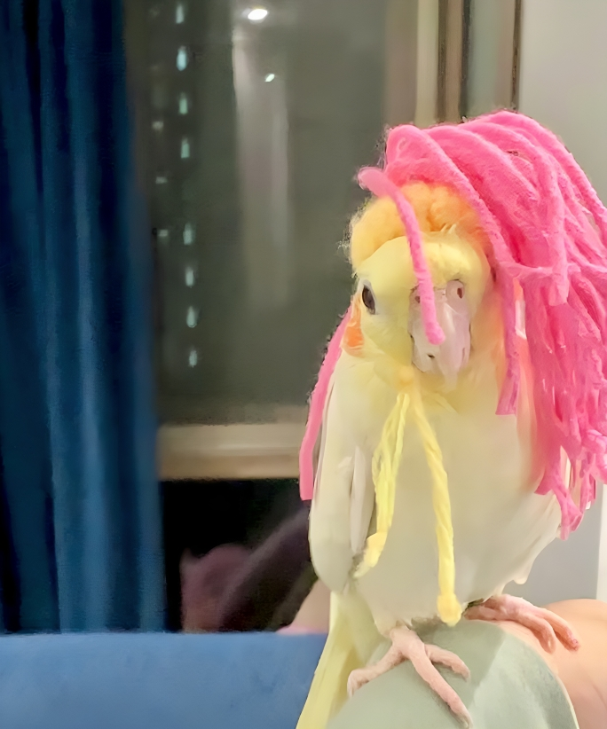 奴才:我的眼光可以吧~