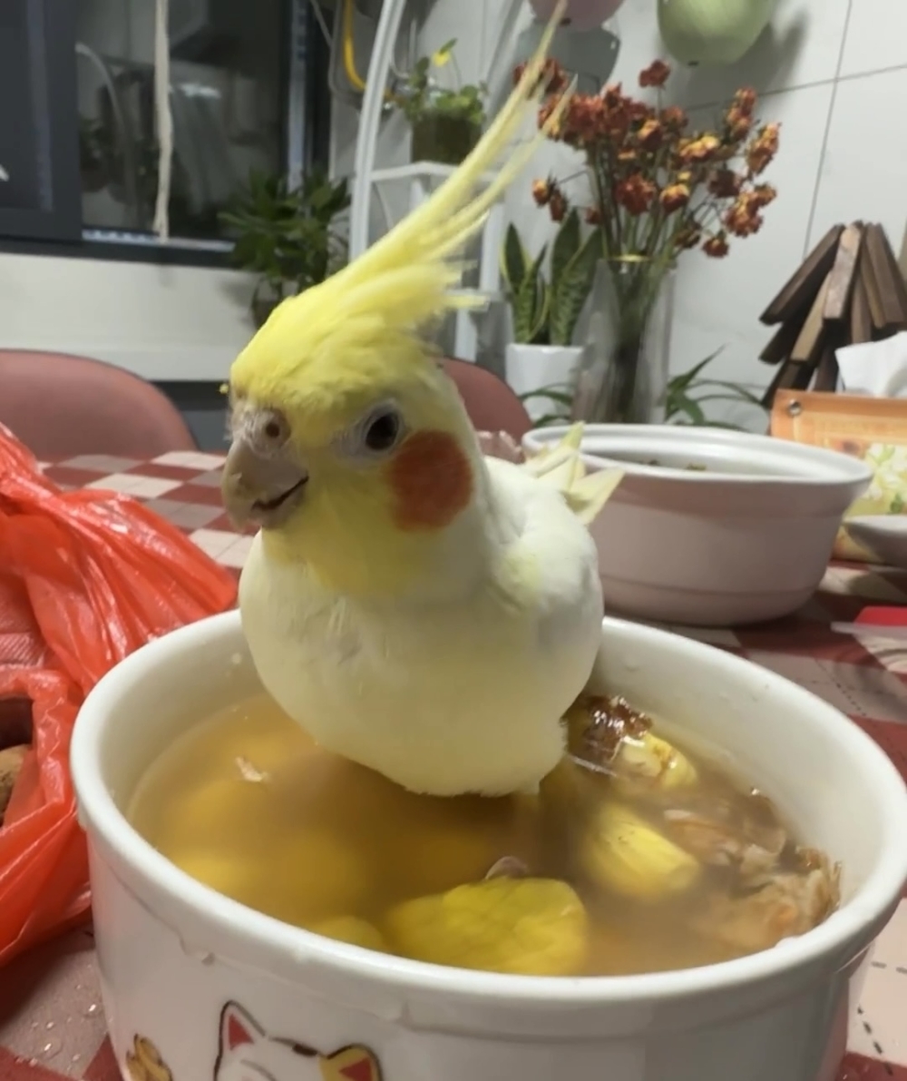 奴才：你經過我同意了嗎？