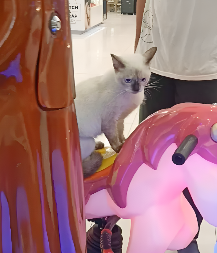 奴才：還有音樂你肯定喜歡啊