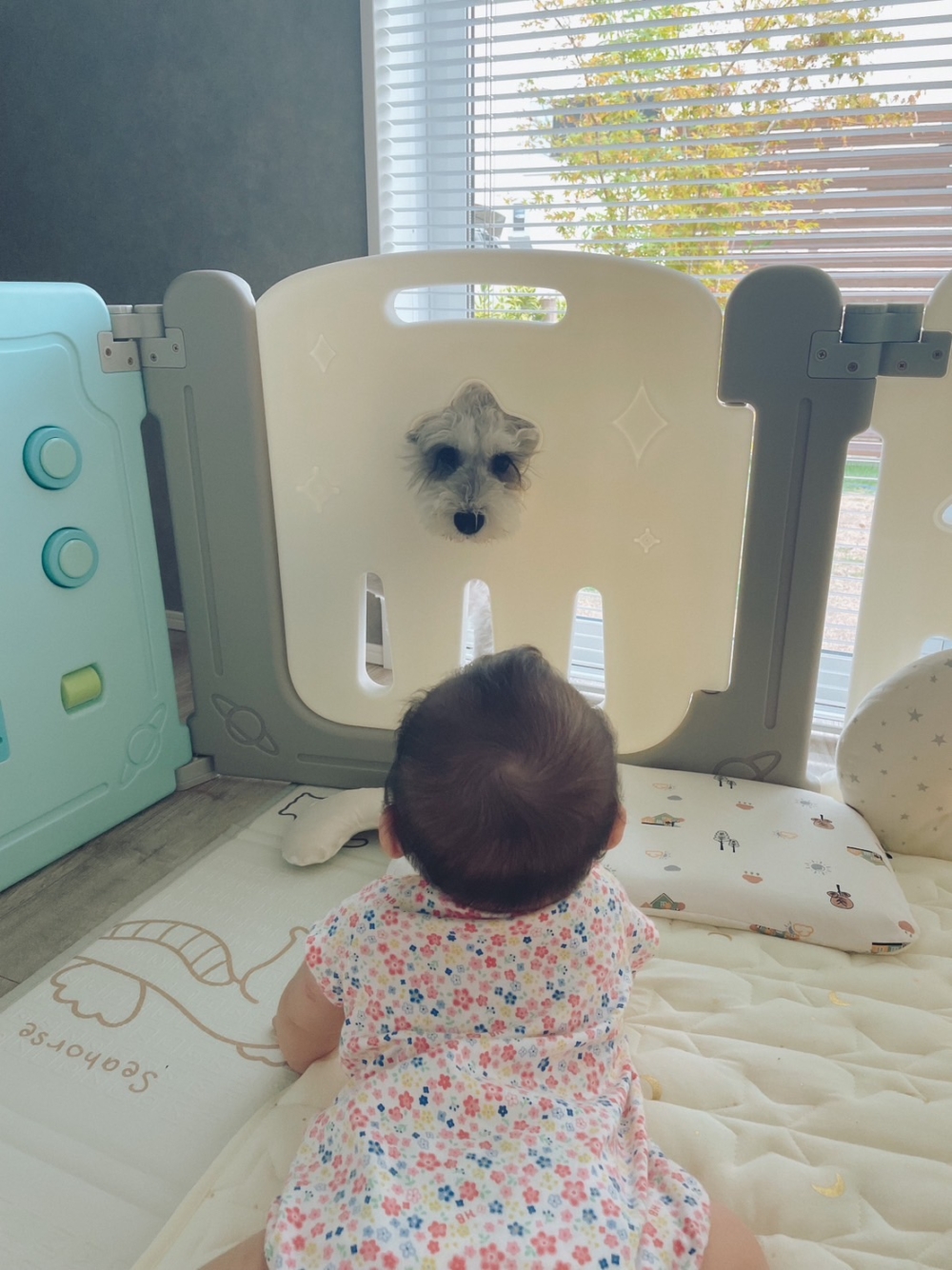 奴才：你會照顧小寶寶嗎？