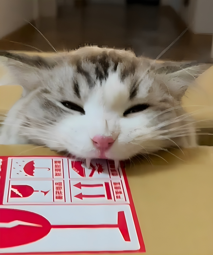 奴才：我絕對相信你的實力啦