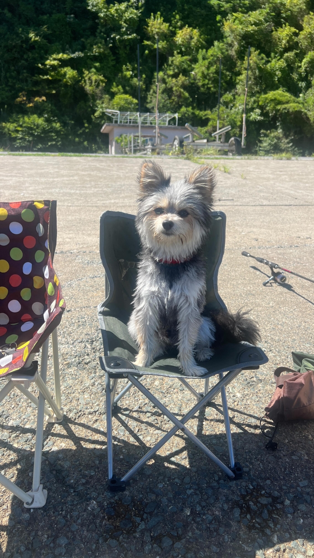 奴才：你膽子也太大了