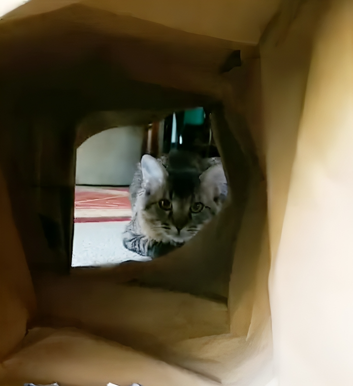 奴才：暫且相信你一次喔