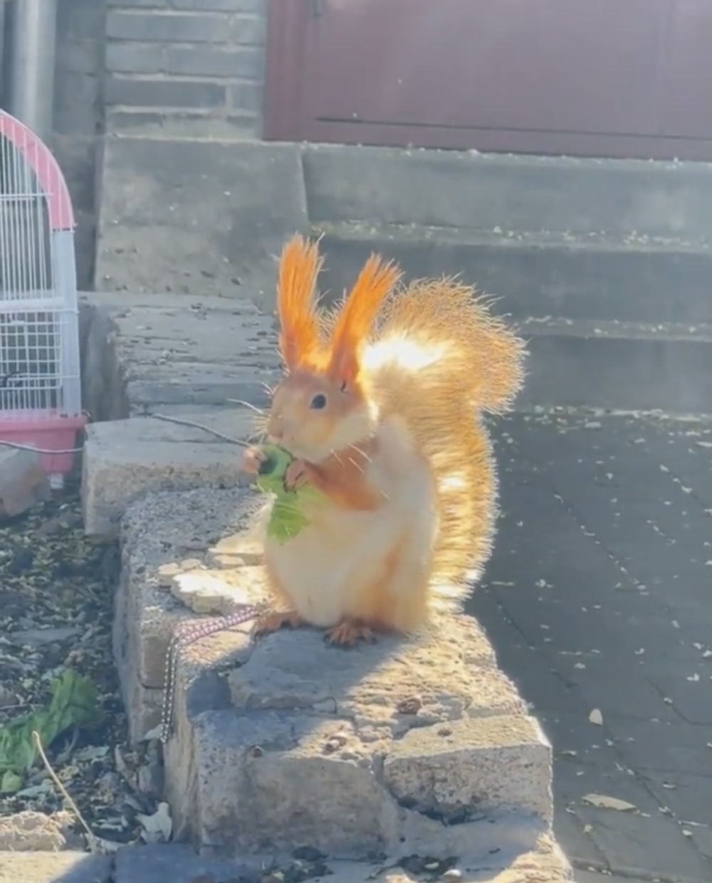 奴才：真會抬高自己啊