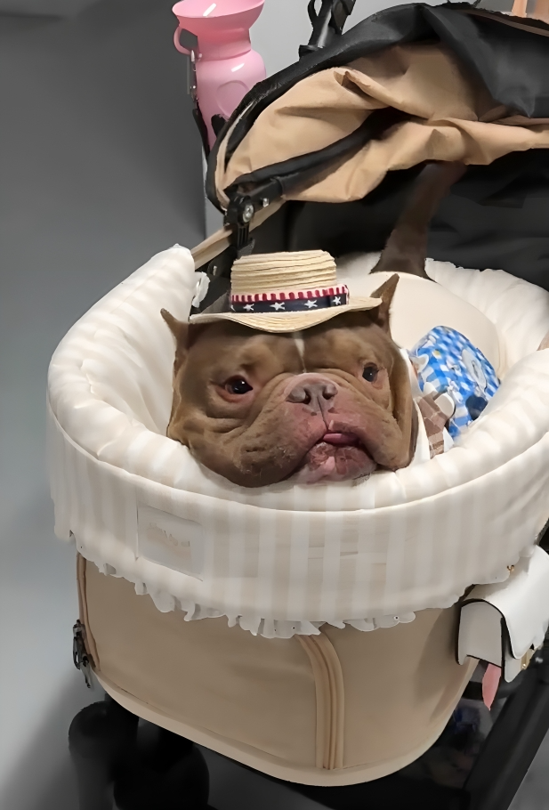 奴才：一句話就能讓你生氣嗎？