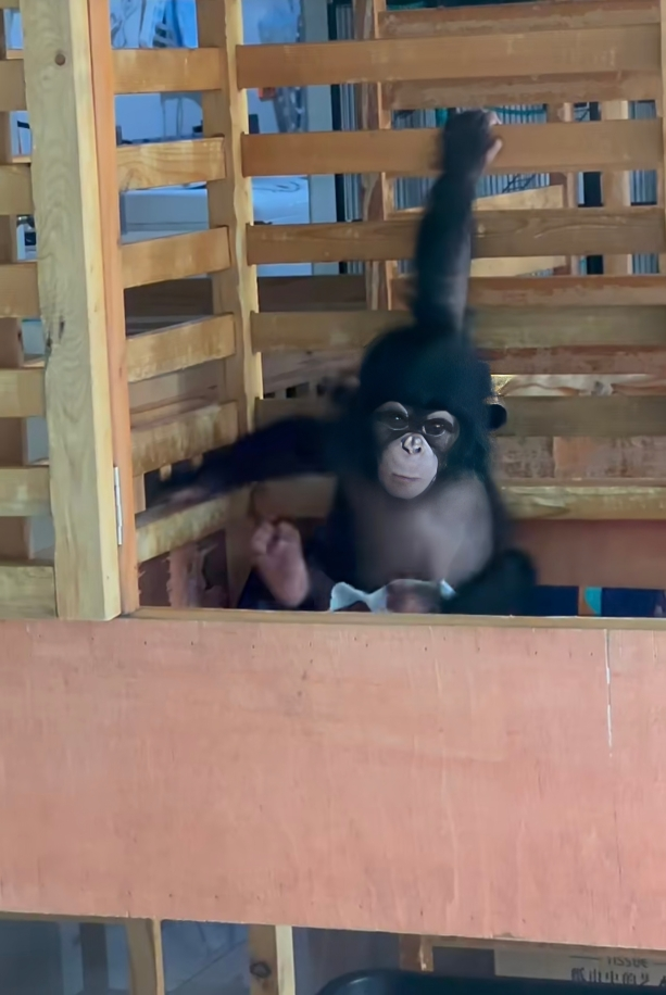 遊客：都是來看你噠